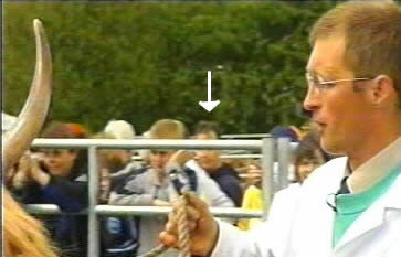 Mystery Cult webmaster